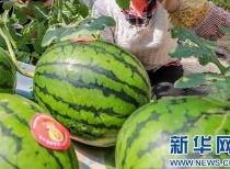 校园爆料网吃瓜最新消息2023,吃瓜最新消息大揭秘! 第2张 校园爆料网吃瓜最新消息2023,吃瓜最新消息大揭秘! 第2张