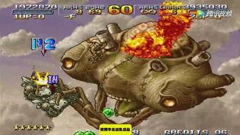 东营八卦爆料最新,揭秘最新热点事件背后的真相与内幕 第3张 东营八卦爆料最新,揭秘最新热点事件背后的真相与内幕 第3张